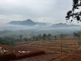 tanah kavling murah bogor timur