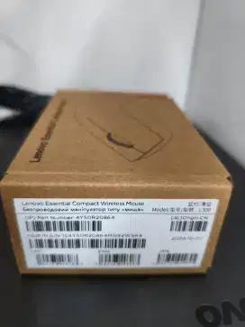 Mouse Lenovo essential L300