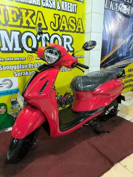 Grand Filano 2024 AJM
