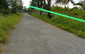 Tanah 616m jln palagan km 14