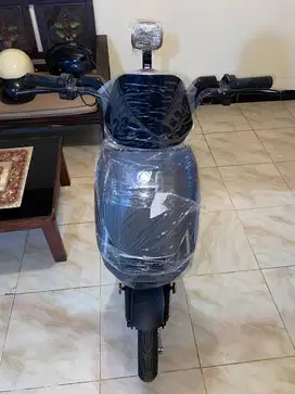 PACIFIC ZECKROM 300