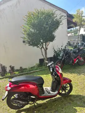 Scoopy thn 2017