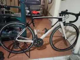 Roadbike Polygon S 7 Rimbrake