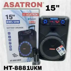 SPEAKER ASATRON 15 INCH