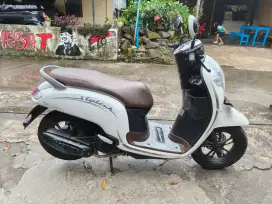 Scoopy THN 2020 plat AB kulon Progo