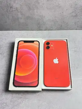 iPhone 1264gb inter