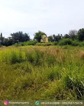 Disewakan Daerah Barang Kuis Gg rotan. Tj Morawa