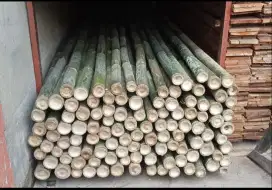 Jual bambu steger panjang 6 meter