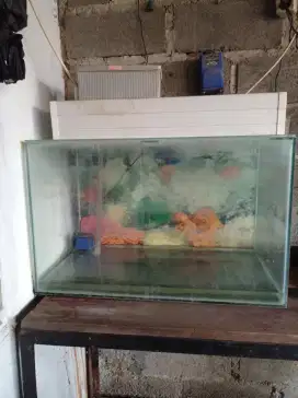 Akuarium set tinggal kasih air dan ikan