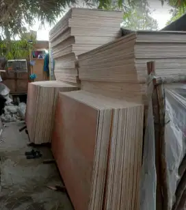 Jual bambu steger panjang 6 meter