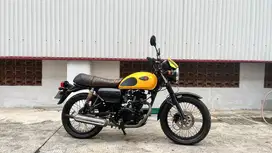 Kawasaki W 175 Cafe 2019