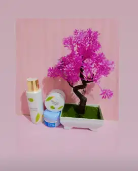 CREAM GLOBAL HEALTH