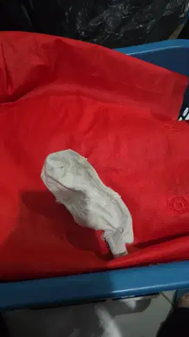 Karyawan Laundry
