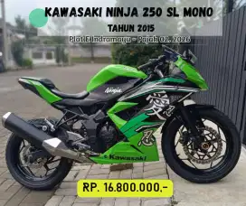 Kawasaki Ninja 250 SL Mono 2015 Pajak Hidup