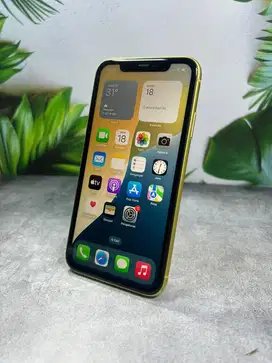 Iphone 11 128 GB mulus