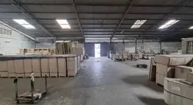 Gudang Kapuk Mangga Ubi