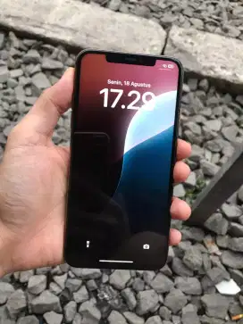 IPHONE 11 PRO MAX 256GB