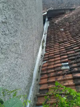 Servisna bangunan