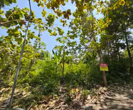 Tanah dijual Desa Bedanten Sukorejo, Bungah