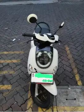 Scoopy new 2025 05