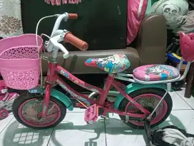 Sepeda anak-anak