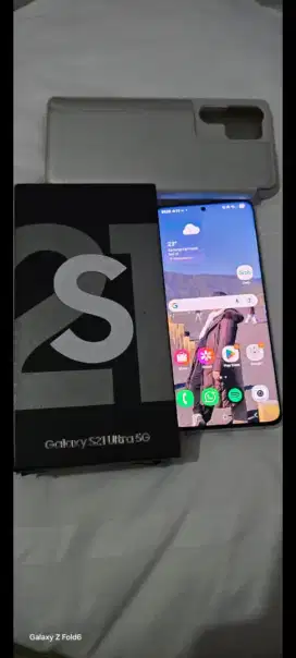 Samsung S21 Ultra 12 GB / 256 silver SEIN