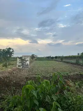 TANAH DIJUAL MILIK PRIBADI,