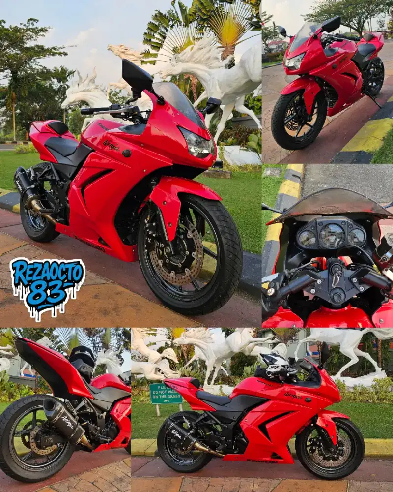 KAWASAKI Ninja 250