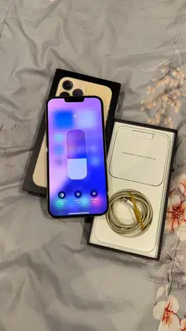 Dijual Iphone 13 Promax 128GB Gold Lengkap Terdaftar