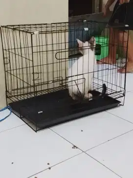 Kandang kucing minimalis ukuran 47x30x40