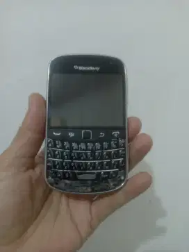 Blackberry Dakota