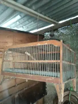 kandang buat mandiin burung murah kayu jati