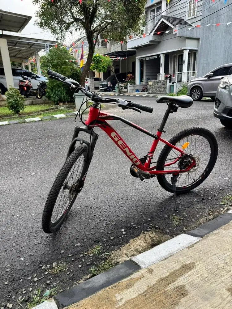 Sepeda Genio 24 inch