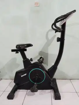 Dijual sepeda ststis magnetic bike ukuran besar merk berwyn