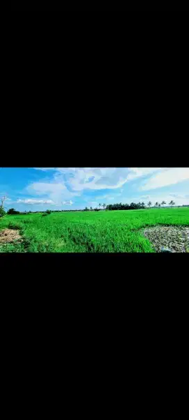Tanah Potensial