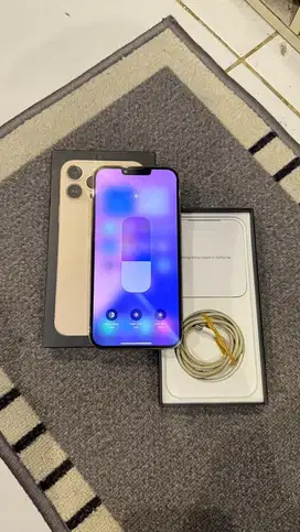 Dijual Iphone 13 Pro Max 128GB Gold Lengkap Terdaftar