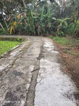 JUAL TANAH DI KULWARU WATES KULONPROGO VIEW SAWAH