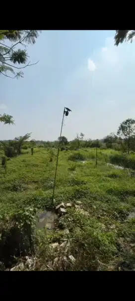 Bismillah DIJUAL TANAH PRIBADI CIAMPEL SHM Darat 6.000.000,-
