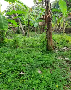 Jual tanah murah bekasi