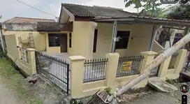 Rumah Baru Ready Stock Ciomas Bogor
