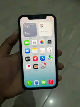 Iphone 11 Pro Max 256GB Cod Citayam
