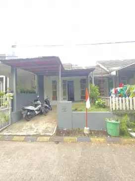 Disewakan/di jual rumah kawasan asri