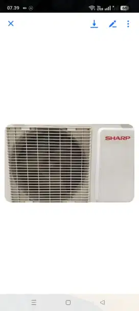 AC Sharp 1/2pk mulus