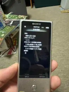 Sony NW Zx100 Mp3