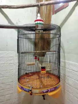 Sangkar burung besi