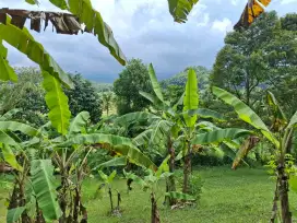 Tanah Bukit Cinta Karangasem