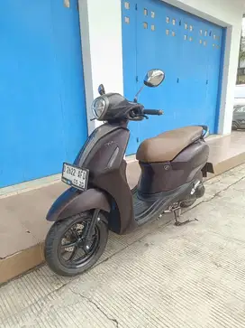 Yamaha grand filano lux 2025