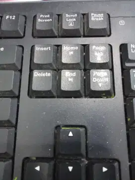 Di cari kariawan gudang pria