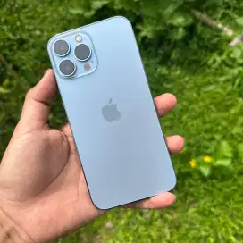 TT/Jual iPhone 13 Pro Max 256GB ex iBox