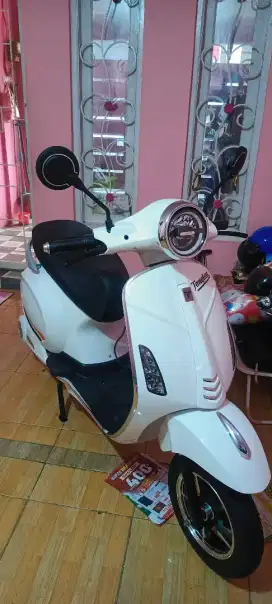Molis tangkas v8 new